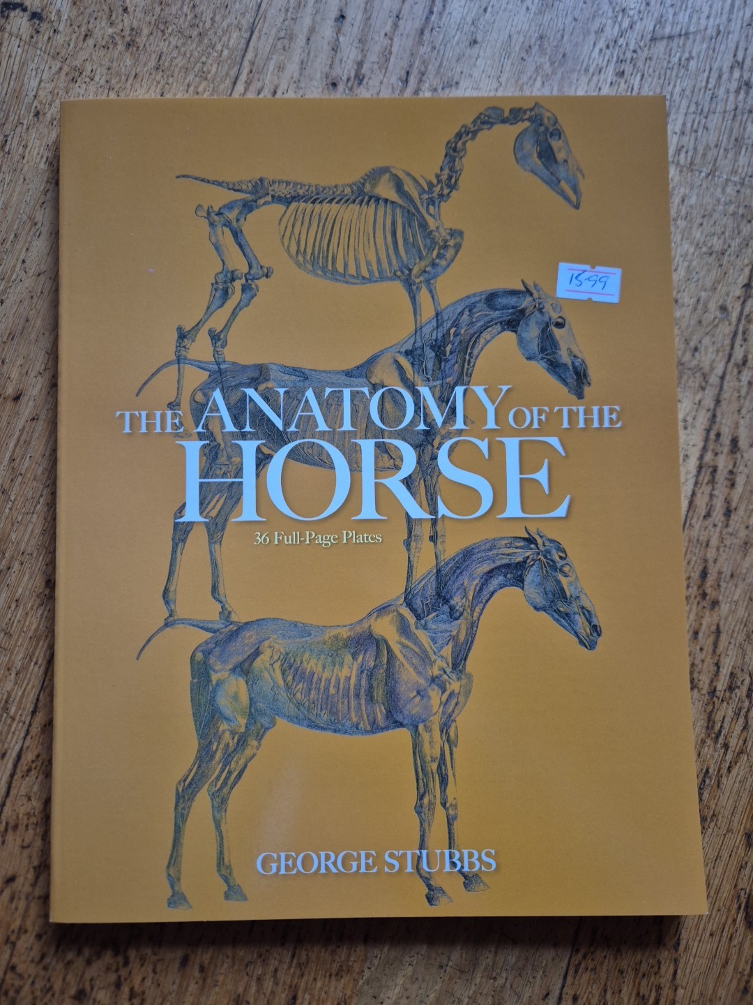 The Anatomy of the Horse George Stubbs anatomical drawings horses equestrian
