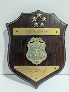 OBSOLETE VINTAGE PAN AM WORLD AIRWAYS SECURITY BADGE AVIATION & PLAQUE