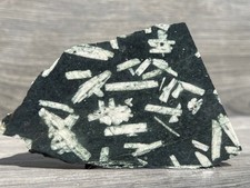 Chinese Writing Rock Stone Porphry California Lapidary Rough Slab Cabbing 4"x2.8