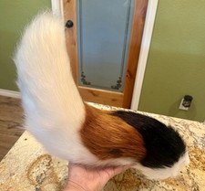 Futra Sztuczne futro Kostium Ogon Czarny Pomarańczowy Biały ogon 20" Z paskiem