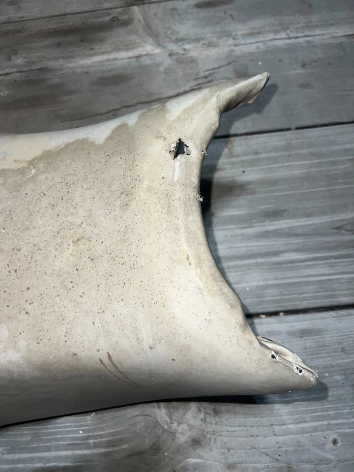 1994 POLARIS SPORTSMAN 400 4X4 SEAT 2681724-136 / 2682492-070 / 1011558 OEM - Image 2 of 4