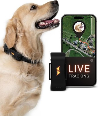 GPS Dog Tracker Collar Pet Anti-Lost Real-Time Waterproof Locator Rechargeable