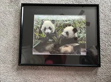 Awesome Panda 3D Print With Frame 20 1/4 X 16 1/4. Really cool framed art piece!