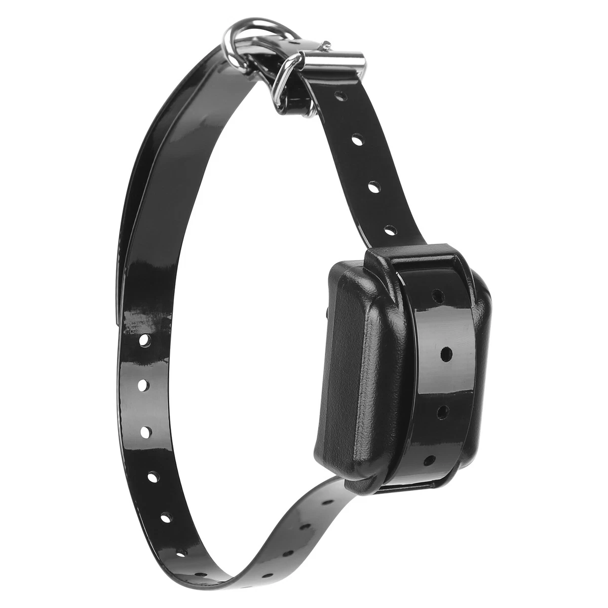 Are Electric Dog Fences Humane