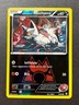 2015 Pokemon TCG XY Double Crisis -Team Magma's Poochyena- Reverse Holo C 17/34