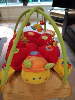 mamas and papas ladybird playmat