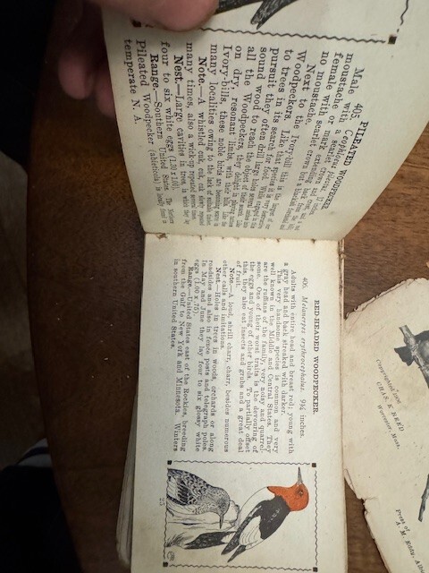 Picture 13 of 24