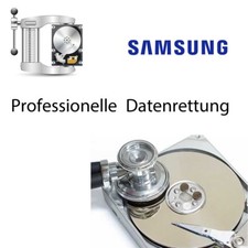 Datenrettung - Samsung HD502HI -  Data Recovery - Wiederherstellung
