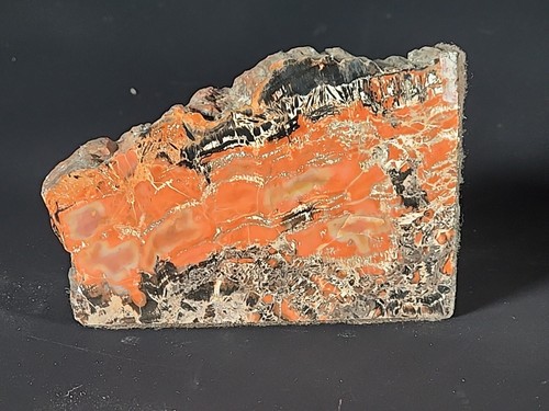 Petrified Wood Bookends Red & Black - Picture 3 of 11
