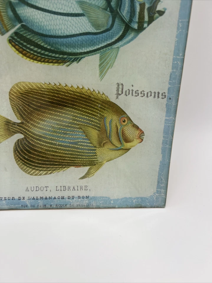 Bandeja de placa de decoupage de vidrio Michel Design Works_francés_pez tropical_10,5" Foto 3 de 4