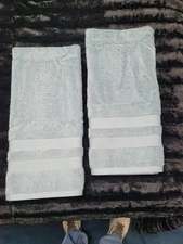 Member's Mark Hotel Premier Bluemist Hand Towels Size 16 in x 32 in LOT OF 2!