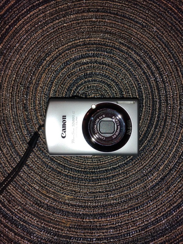 Canon PowerShot Digital ELPH SD880 IS with hard case