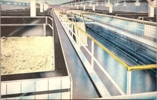 Postcard Budweiser Anheuser Busch Brewery Factory Starting Fermenting Cellar