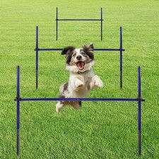 Dog Agility Course Backyard Set, Metal Dog Agility Training Equipment Adjusta...