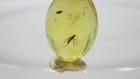 Picture 4 of 10
