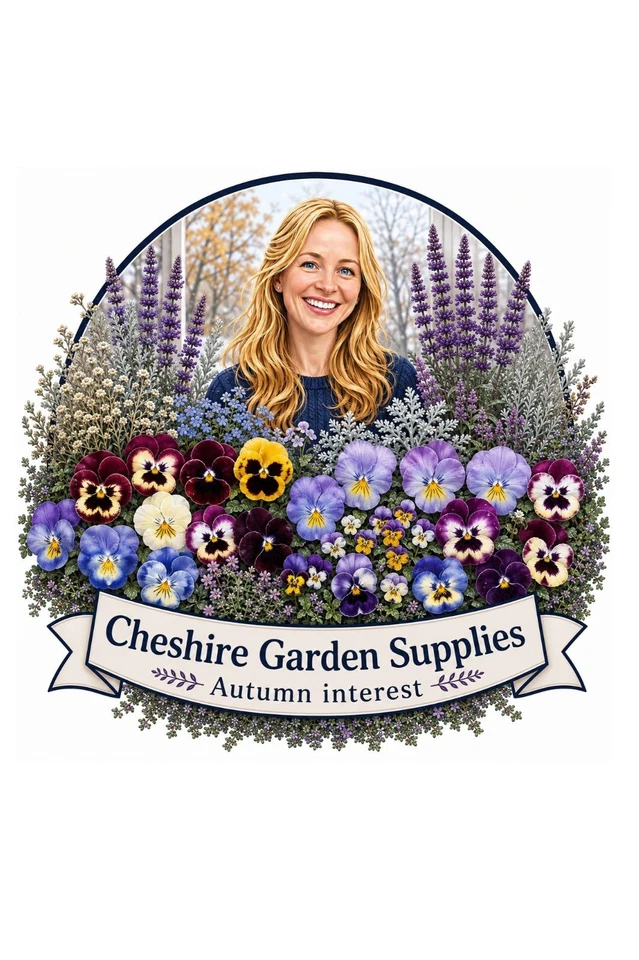 💚🌼🌱 Sunday 🌱🌼💚 Autumn Interest, Bulbs & Winter Pansy 🌸