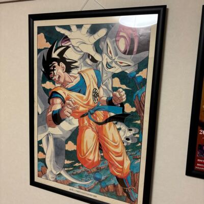 Dragon Ball Goku & Frieza B2 Poster Akira Toriyama World