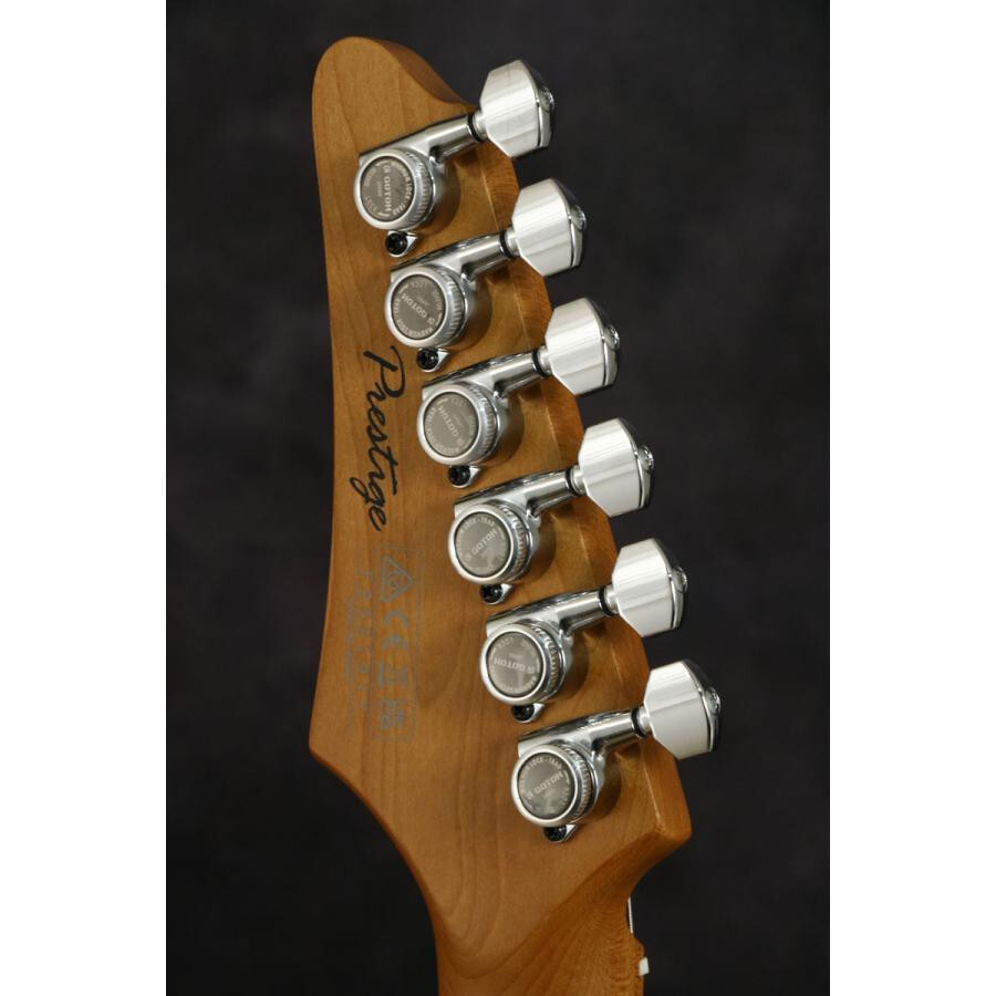 Ibanez 日本製 brown S8820B | Ibanez Wiki | Fandom