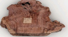 Claro Black Walnut Burl/Stump Slab