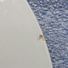 Picture 3 of 4