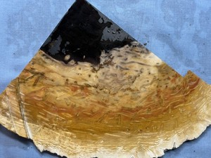 Slab Of Petrified Indonesian Palm