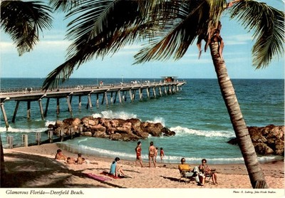 Florida, Deerfield Beach, E. Ludwig, John Hinde Studios, D and M Post Postcard