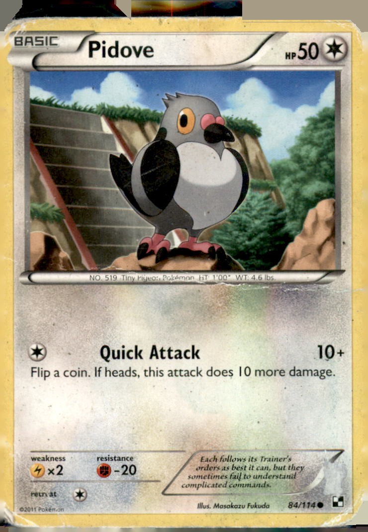Pidove 84/114 Common Black & White Pokemon Near Mint