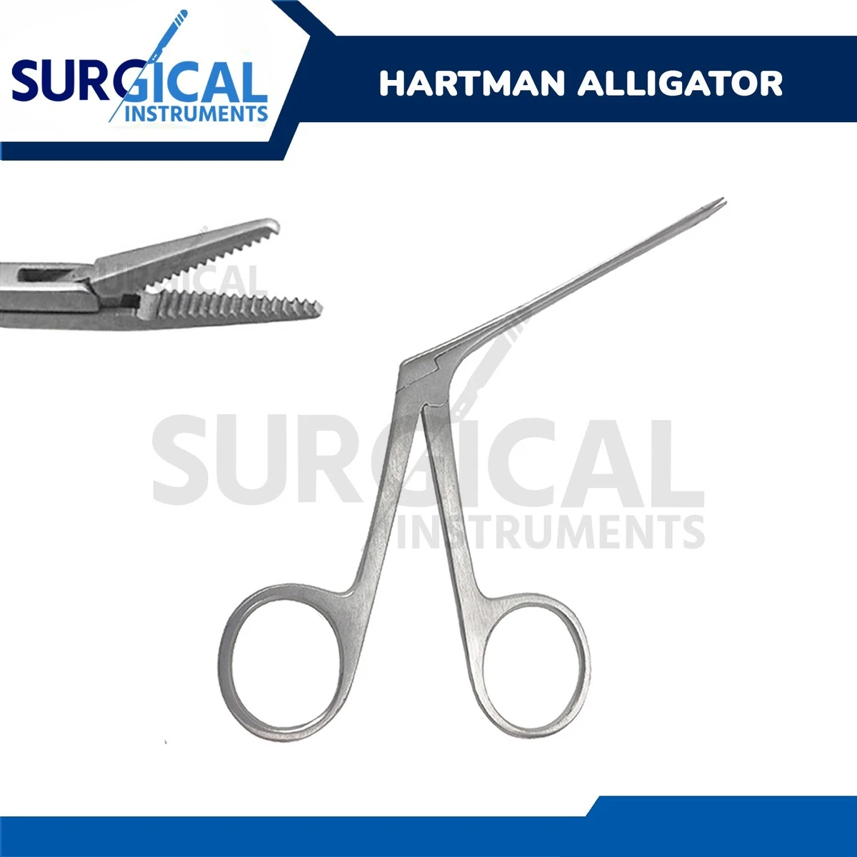 ALLIGATOR FORCEPS 14CM - Vicu&ntilde;a Herramientas T&eacute;cnicas