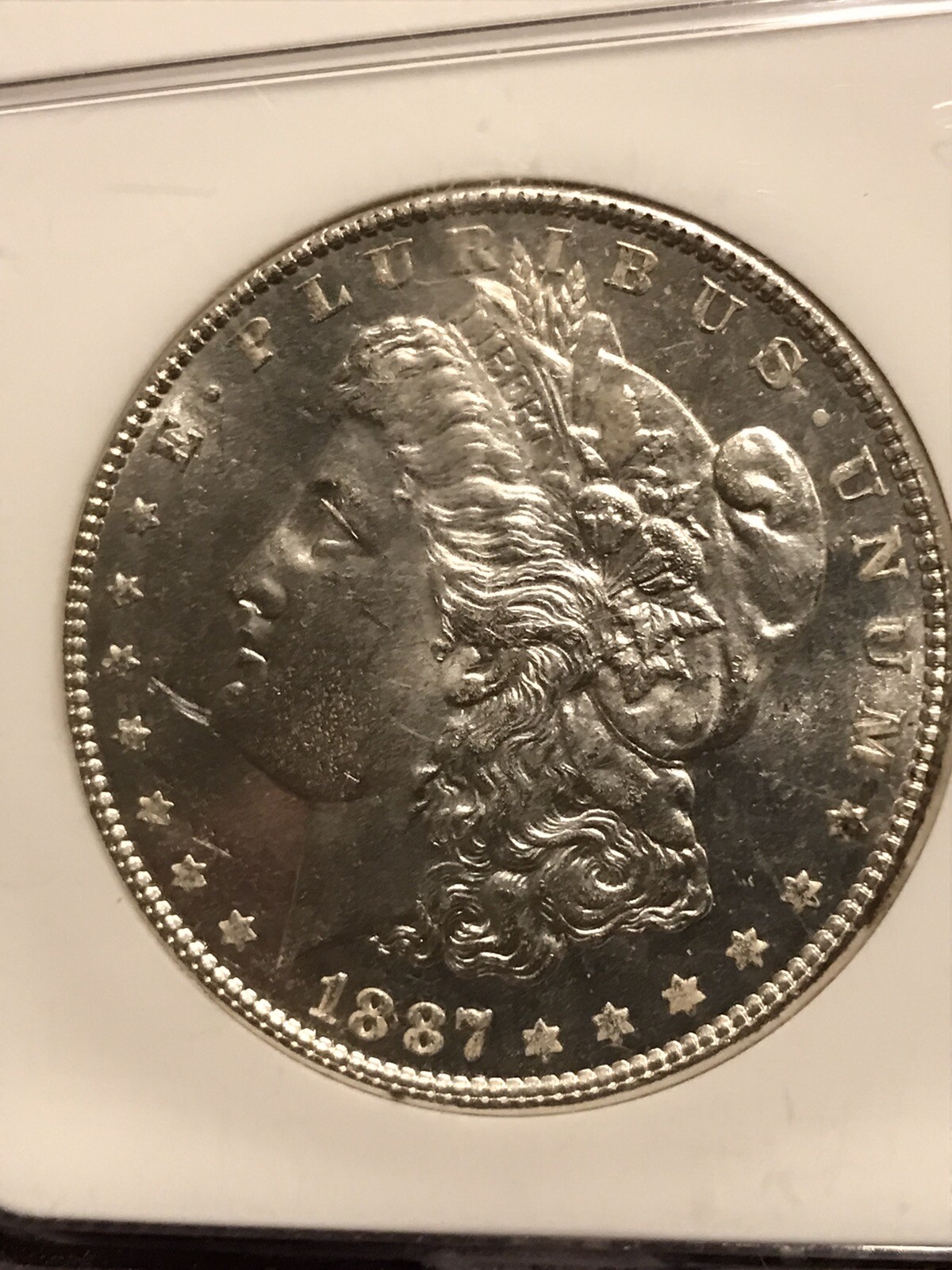 Picture 4 of 19