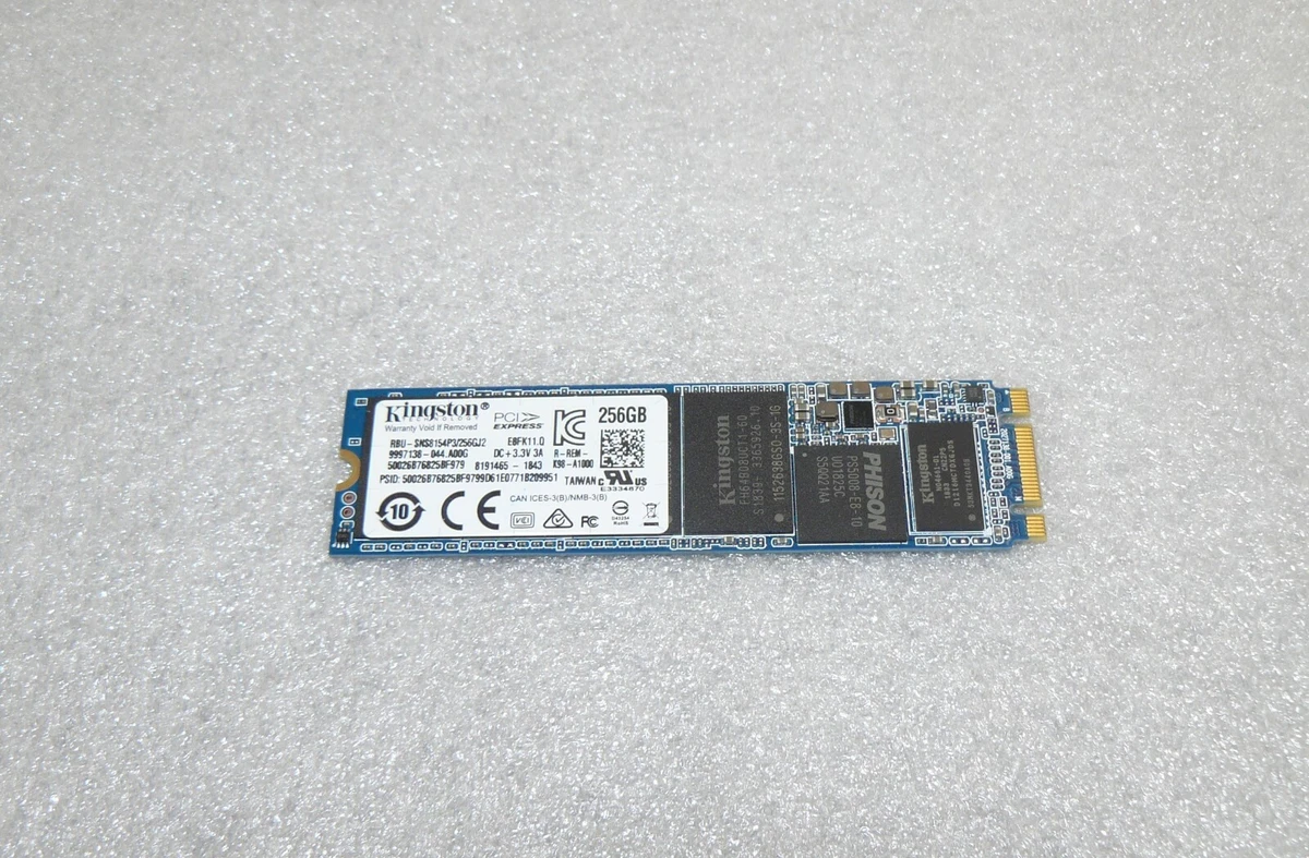 NEW Kingston PCIe 256GB M.2 2280 Solid State Drive RBU-SNS8154P3 