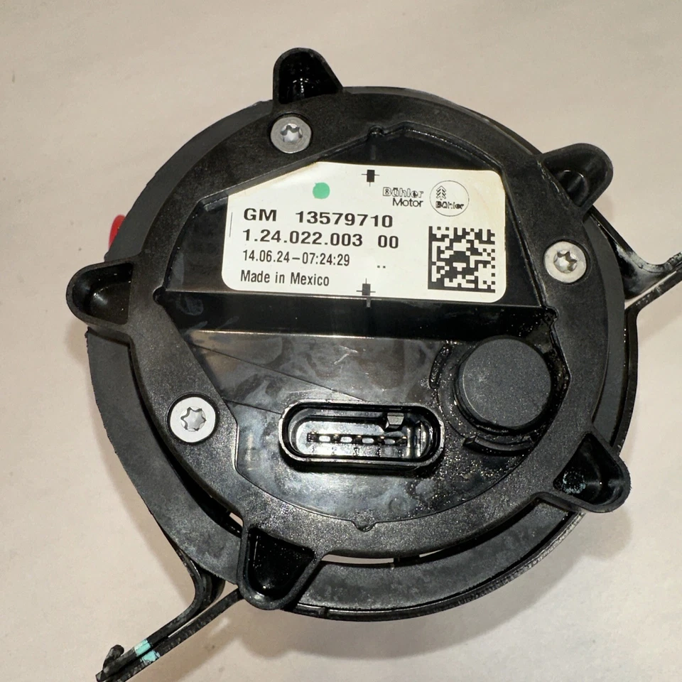 Chevrolet Volt 2011-2015 bomba de refrigerante eléctrica 13579710 fabricante original Foto 4 de 4