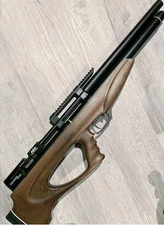 AEA Challenger 22 Cal Unregulated