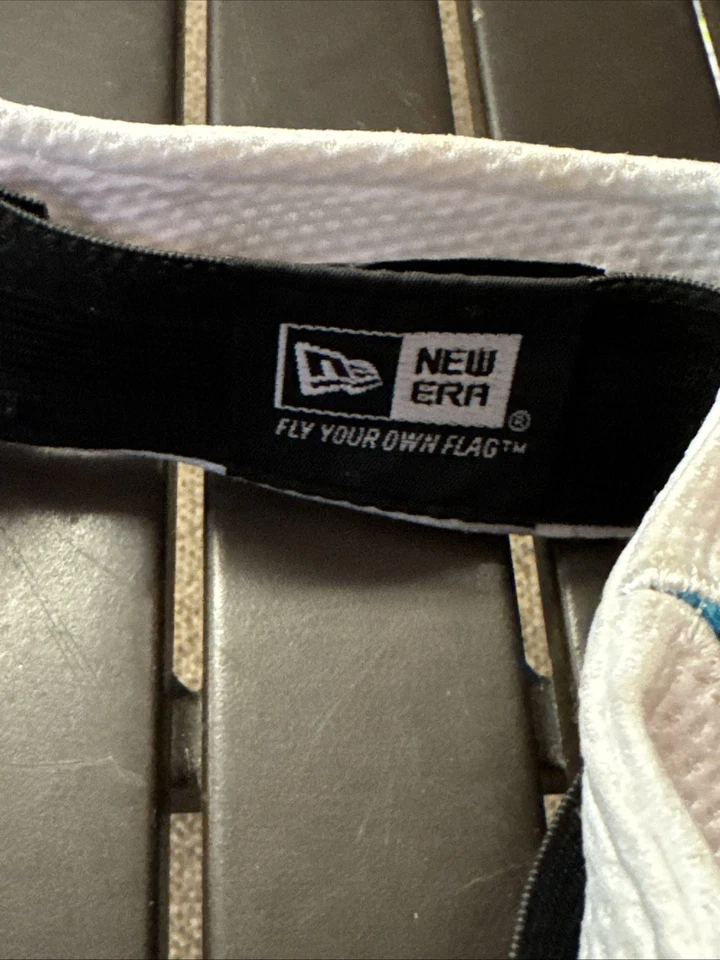 Carolina Panthers Visor Player Worn And Signed By Brandon LaFell No COA - Image 3 of 4