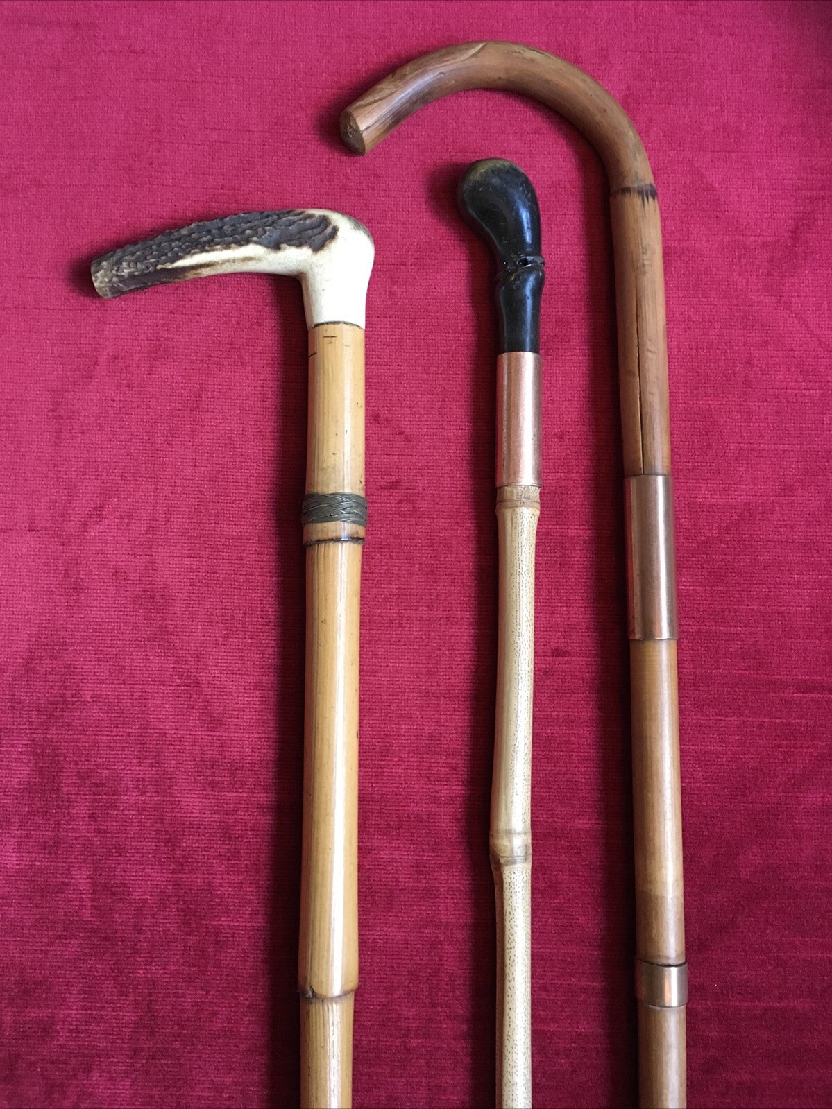 Lote De 3 CANNAS ANTIGUAS En CUERNO Y BAMBU