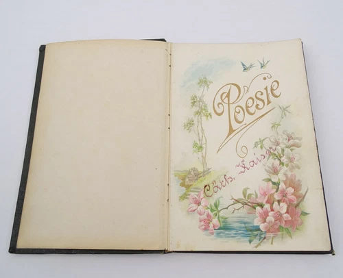 Antikes Jugendstil Album Poesiealbum Freundschaftsalbum  Aachen 1894-1909  - Bild 7 von 12