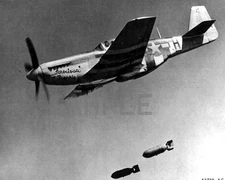 North American P-51 Mustang World War II WWII WW2 8x10 Photo 355c