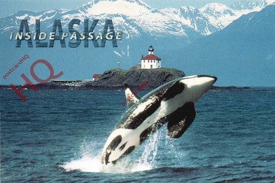 Ansichtskarte> Alaska, Killerwalbruch, Innenpassage