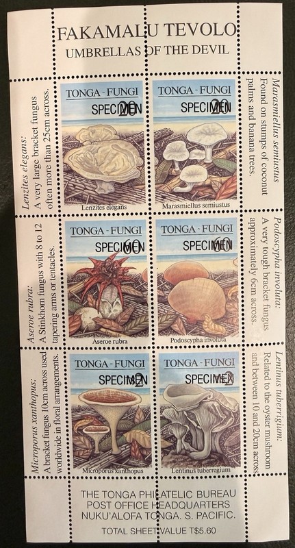 Tonga Stamps/ Souvenir Sheet 1997 SPECIMEN Complete Set Fungi Mint MNH Sc # 979a
