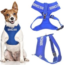 Dexil SERVICE DOG Blue Colour Coded Non-Pull Front and Back D Ring Padded and W
