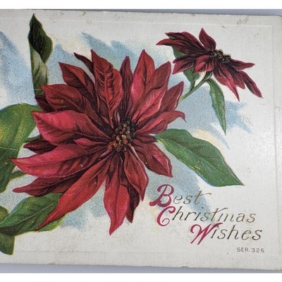 Antique Litho Postcard Edwardian Ephemera Christmas Poinsettia Unposted Embossed