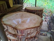 Cedar rounds (possibly Western Red) for woodworking