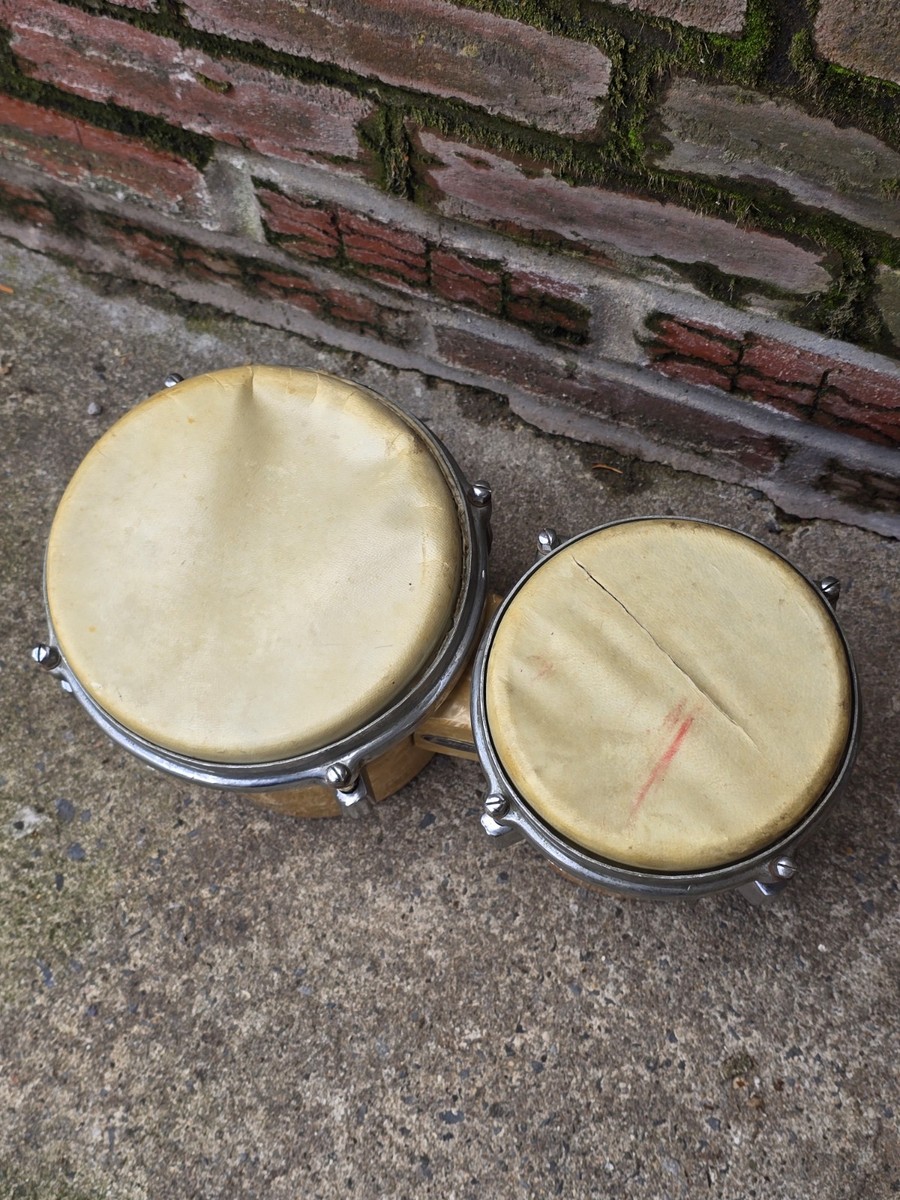 Pearl ボンゴ Vintage 1950s Pearl Tokyo 8 Inch & 6 Inch Bongo Drums | eBay