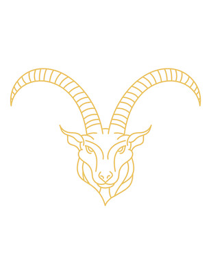 5x car sticker Capricorn sticker 9x9 cm