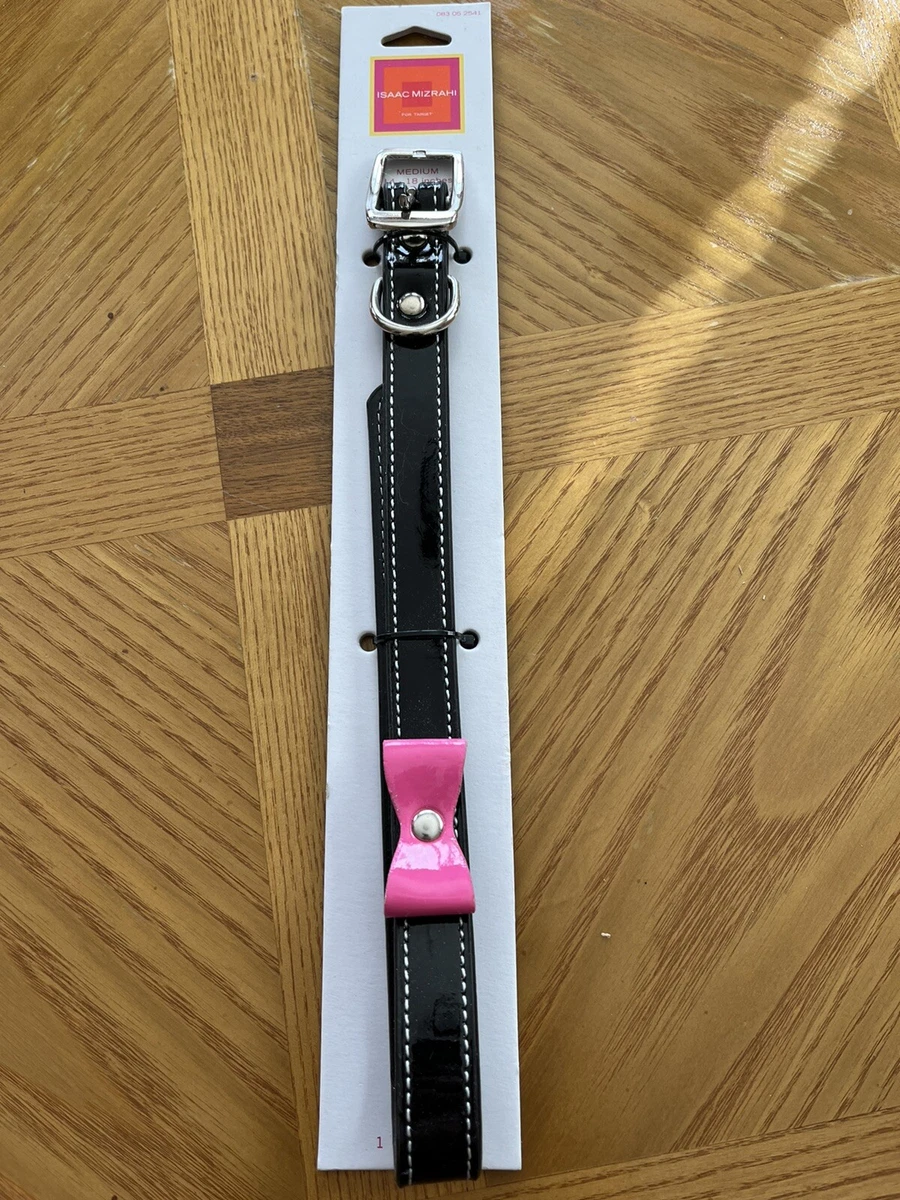 Collar De Perro Ajustable Y Correa Retráctil Para Perros Gra | Envío Gratis