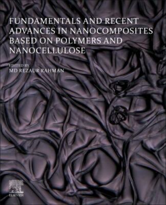 Fundamentals and Recent Advances in Nanocomposites Based on Polymers and Nanoce 