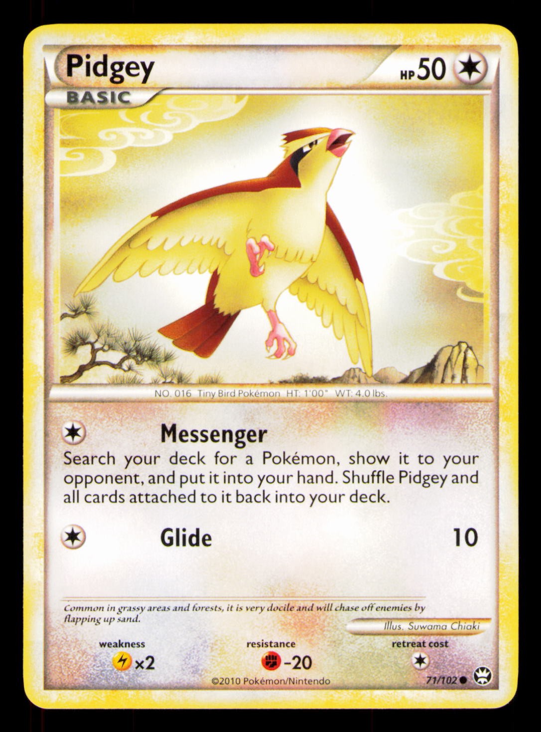 Pidgey Common Triumphant 71/102 NM