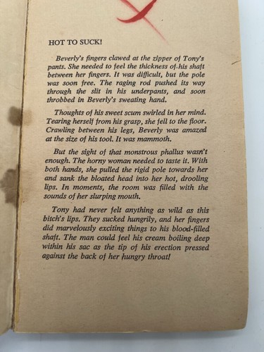 RARE 1972 Bitch in Bed by Norma Thomas - An Adult Erotic Story - Foto 4 di 9