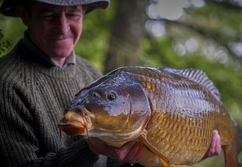 ESP Camo Jumper Terry Hearn Fishing Jumper All Sizes Carp Fishing