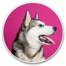 2 adesivi in vinile 20 cm - Alaskan Malamute Husky cane cucciolo regalo cool #15721