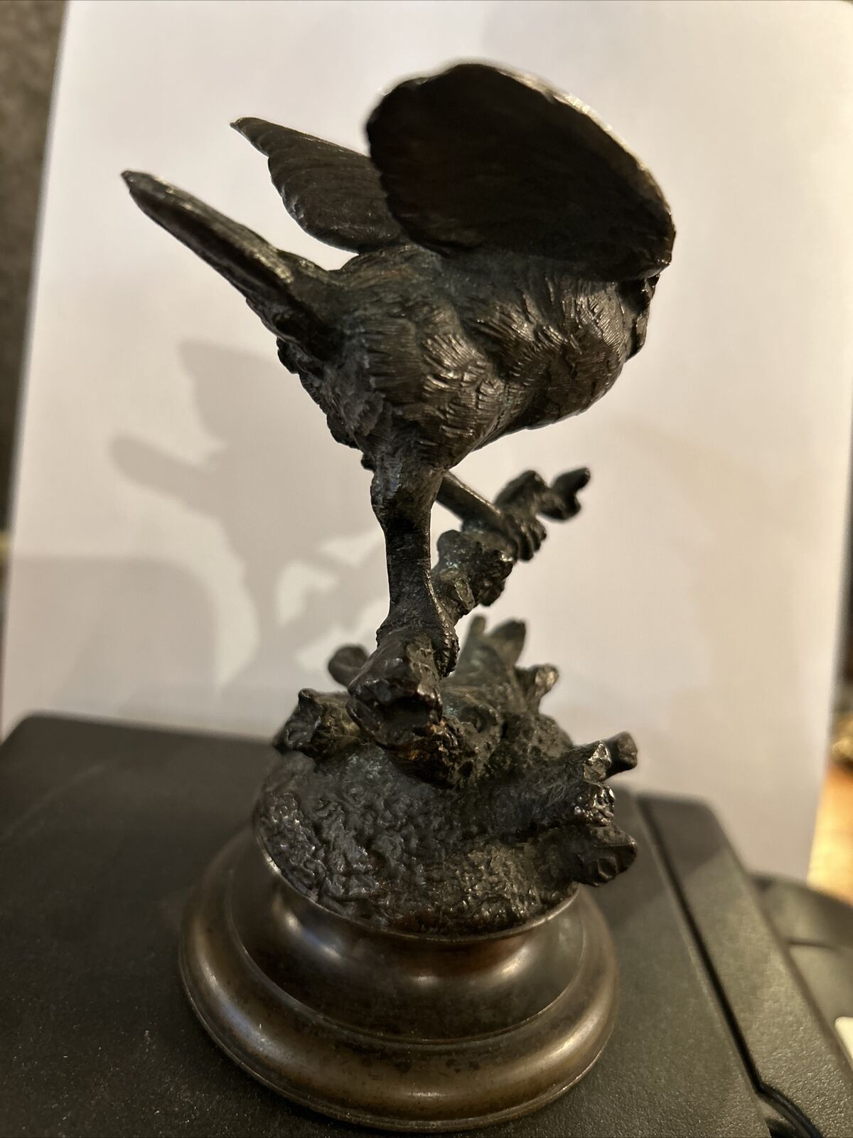 Picture 4 of 11